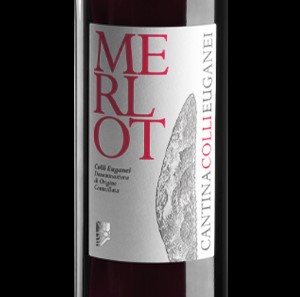 trattoria la famiglia correzzola