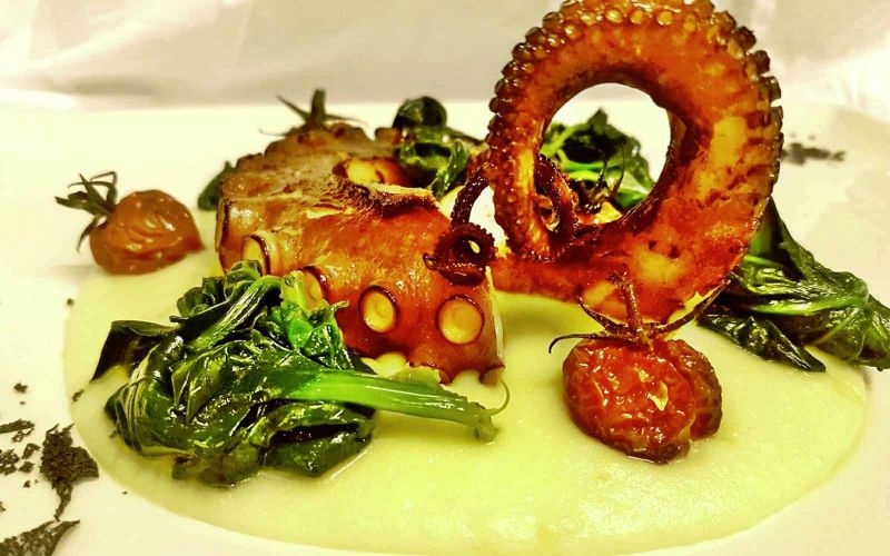 grilled octopus